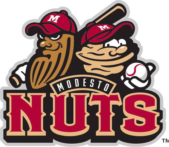 Modesto Nuts 2005-Pres Primary Logo iron on transfers for T-shirts